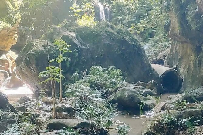 Rainforest Caves and Waterfalls Exploration with Transportation - Price and Value: $110 for Hike, Safety Gear, and Snacks