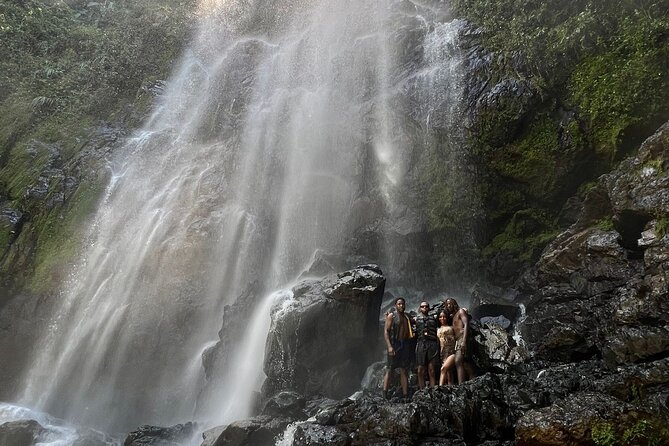 Rainforest Hike to Hidden Waterfall in Puerto Rico with Transport - Key Highlights at a Glance