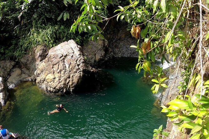 Rainforest Nature Walk & Luquillo Beach Combo - Key Things That Make This Tour Worth Your Time