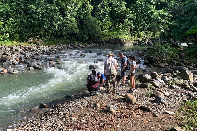 Rainforest River Nature Walk Adventure and Luquillo Beach - Morning Flow: Hotel Pickup, Tight Stops, Real Variety