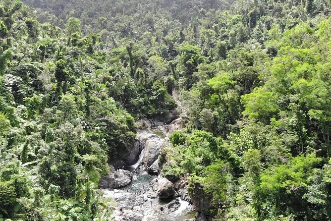 Rainforest River Nature Walk Adventure and Luquillo Beach - Luquillo Beach and the Kiosks: Your Reward, Your Lunch Option