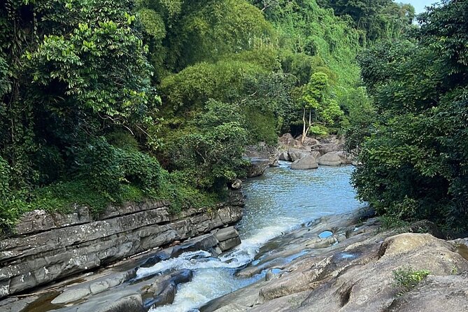 Rainforest Waterfall Slides/Adult Drinks included/ Beach - Drinks included: adult Capri Suns, beers, and good vibes