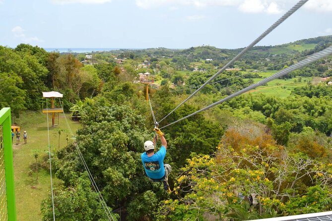 Rainforest Zipline in Foothills of the National Rainforest - Key things I’d highlight before you go