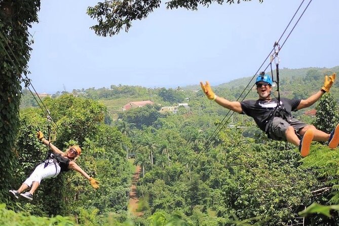 Rainforest Zipline in Foothills of the National Rainforest - How the full course works: 8 lines, beginner first, long runs at the end