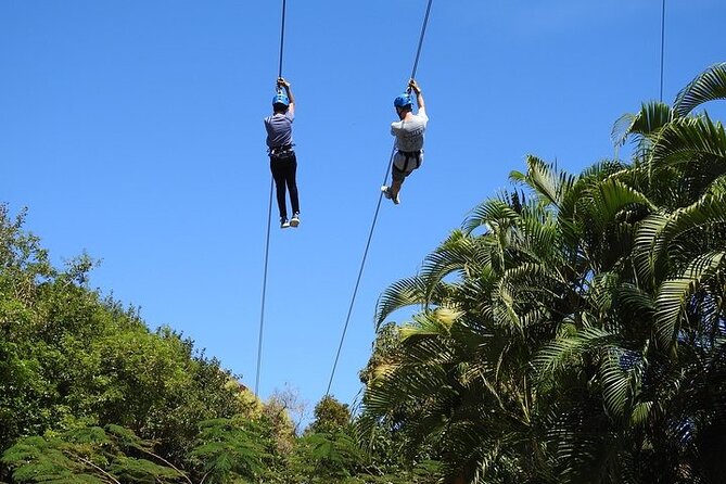 Rainforest Zipline in Foothills of the National Rainforest - The rainforest canopy views: what you will actually see up there