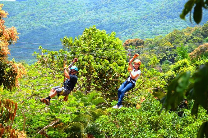 Rainforest Zipline in Foothills of the National Rainforest - Timing, duration, and why arriving early helps