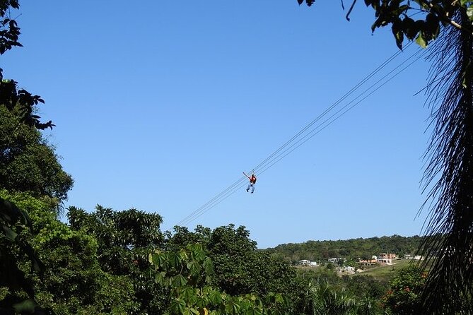 Rainforest Zipline in Foothills of the National Rainforest - Who should book this zipline tour, and who should skip it