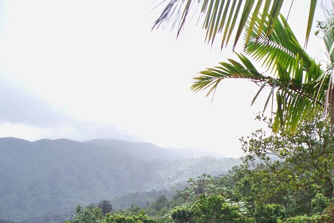 Rainforest Zipline, Luquillo Beach, and Natural Springs Day Trip - Weather reality in Puerto Rico, and how to pack like a pro