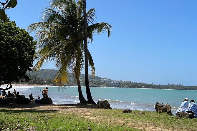 Rainforest Zipline, Luquillo Beach, and Natural Springs Day Trip - Price and value: why $199.99 can make sense for a full day