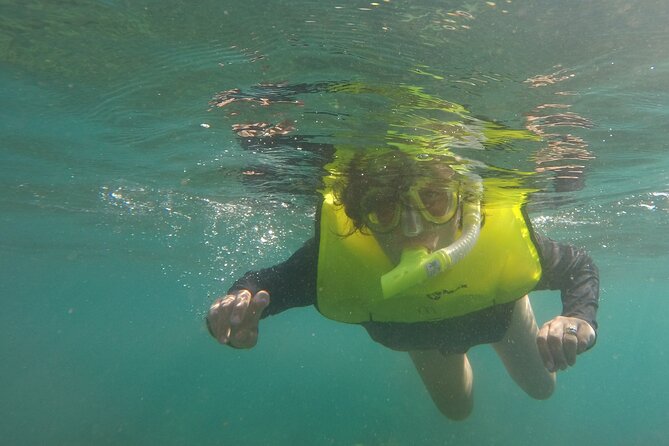 Rincon Snorkeling Adventure - What you might see: turtles, nurse sharks, and coral you can point at