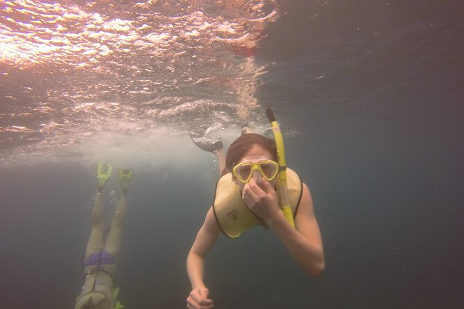 Rincon Snorkeling Adventure - Comfort and safety: open water skill, health questionnaire, and age limits
