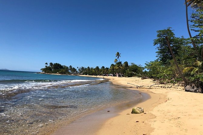 Rincon Snorkeling Adventure - Getting the most from your hour in the water