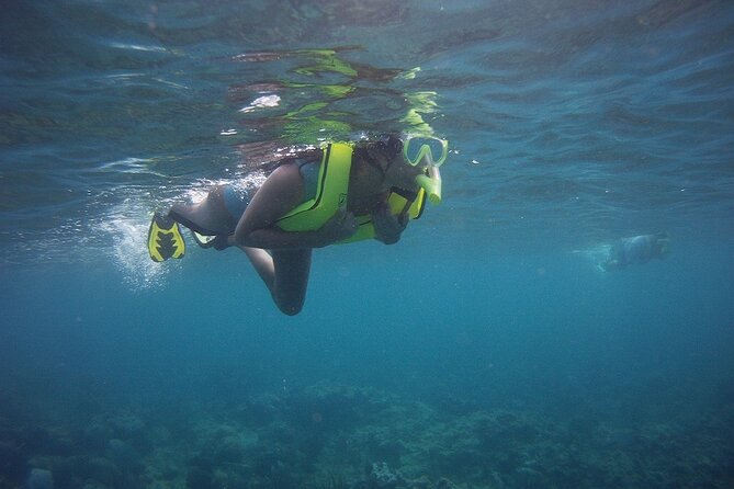 Rincon Snorkeling Adventure - Who should book this snorkeling adventure?