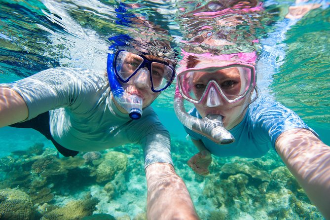 Rincon Snorkeling Adventure - PADI guides and the small-group attention you actually feel