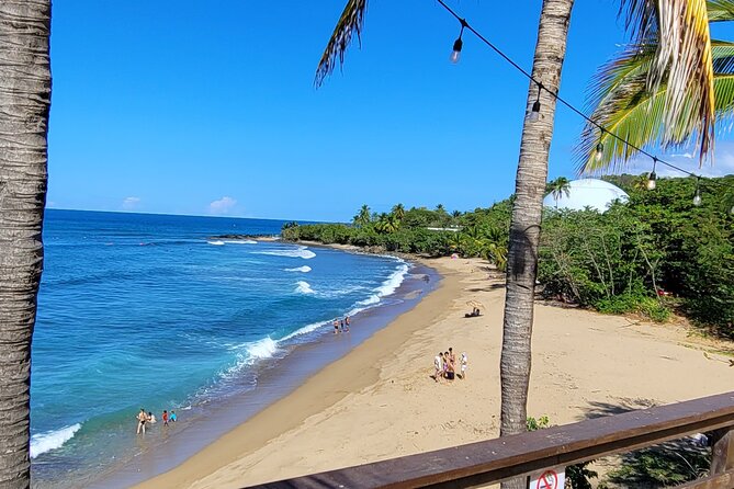 Rincon Tour Sunset & Nightlife Experience - Why This Rincón Sunset and Nightlife Plan Feels Effortless