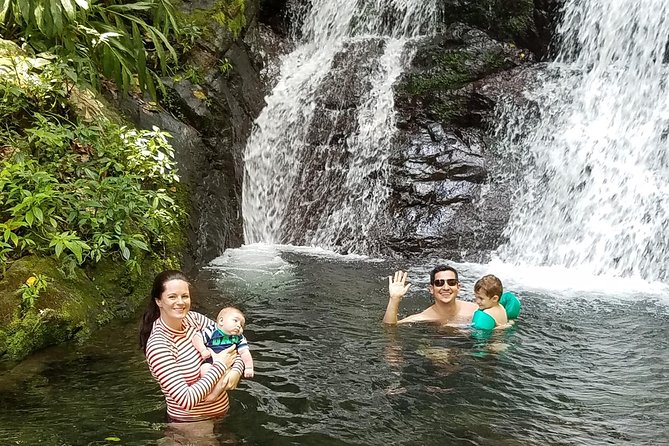 Sacred Rainforest and Archaeological Experience - Key takeaways before you go