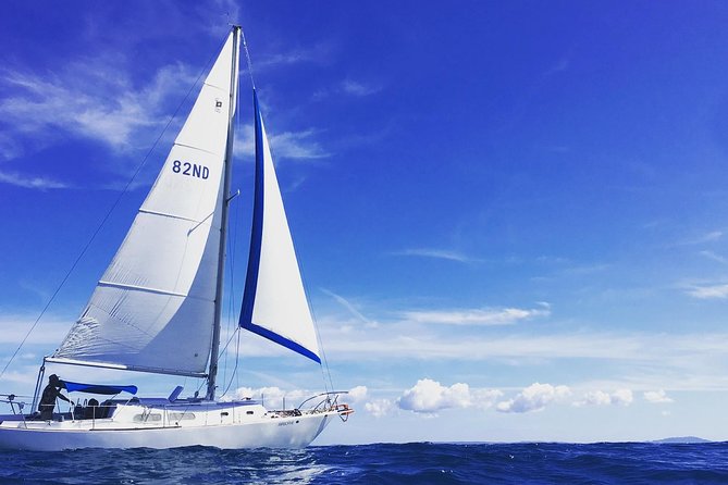 Sail Away: Private Scenic Excursion from San Juan - On Board Experience: Steer, Learn, or Lounge