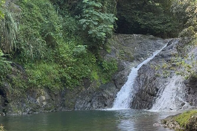 Salto de Pilar Cliff Jumping Tour - San Juan to the Natural Pool: Why Salto de Pilar Works