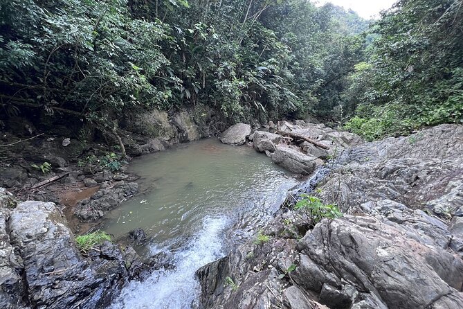 Salto de Pilar Cliff Jumping Tour - The Forest Trail: Footwear, Pace, and Comfort