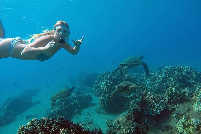 San Juan Guided Snorkel With Turtles Tour and Videos - Escambrón Beach shore-entry: the setup that keeps it beginner-friendly