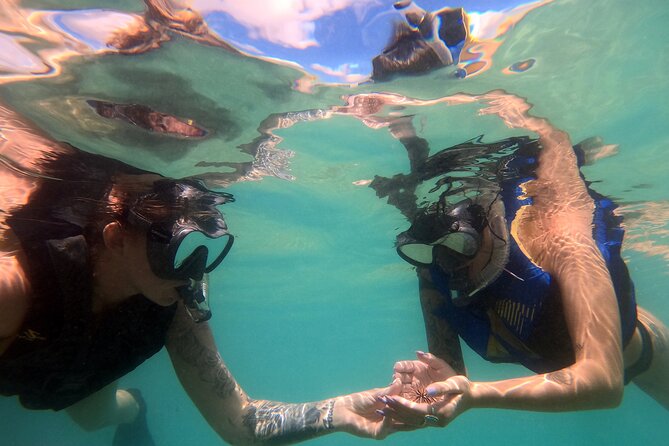 San Juan Guided Snorkel With Turtles Tour and Videos - The 1 to 1.5 hour snorkeling plan around Guaynabo