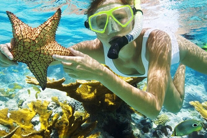 San Juan Guided Snorkeling Experience - With Transport 8am or 3pm - Quick hits