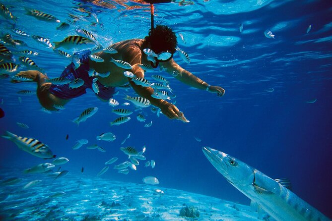 San Juan Guided Snorkeling Experience - With Transport 8am or 3pm - The 2-Hour Plan: From Equipment Fit to 1.5 Hours in the Ocean