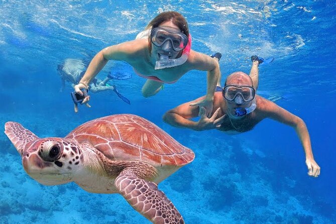 San Juan Guided Snorkeling Experience - With Transport 8am or 3pm - Wear Sandals: Beach Heat and Walking Matters More Than You Think