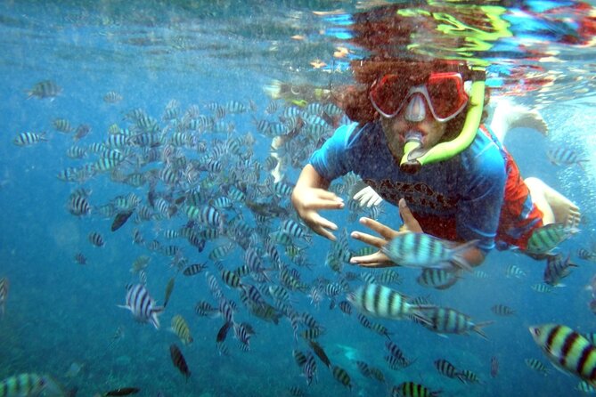 San Juan Guided Snorkeling Experience - With Transport 8am or 3pm - Who This Tour Is Best For (and Who Should Skip It)