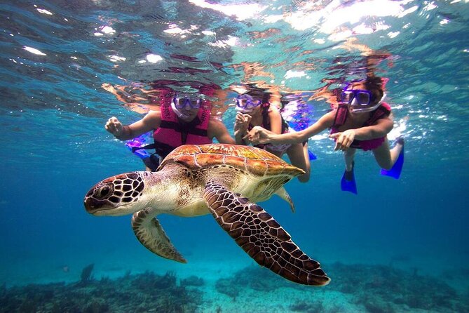 San Juan Guided Snorkeling Experience - With Transport 8am or 3pm - Transport From San Juan Hotels, and the Real Meeting Point
