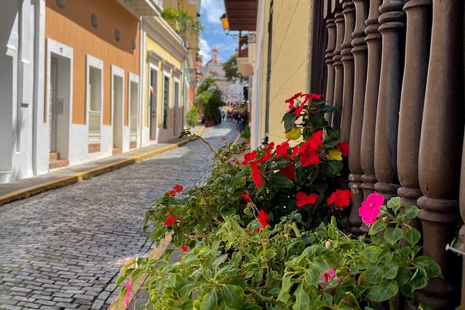 San Juan Highlights Driving Tour - Small-group touring, and why it matters for your comfort