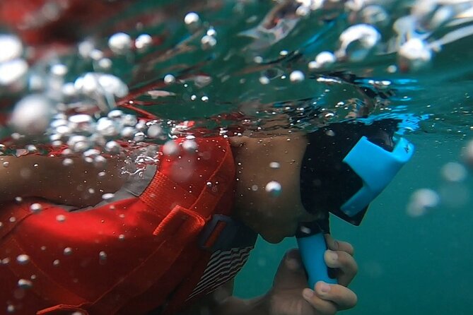 San Juan: Kids and Family Snorkeling Adventure with Videos - Shore snorkeling for kids in San Juan (no boat needed)