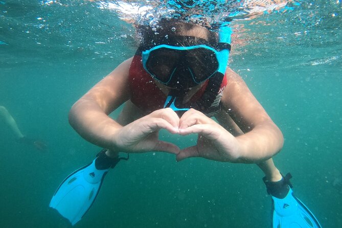 San Juan: Kids and Family Snorkeling Adventure with Videos - Gear checklist that keeps families from scrambling