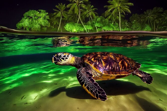 San Juan LED Night Snorkel - Key Highlights You Should Know Before You Go