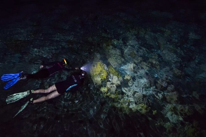 San Juan LED Night Snorkel - LED and UV Night Snorkeling in San Juan: The Real Hook