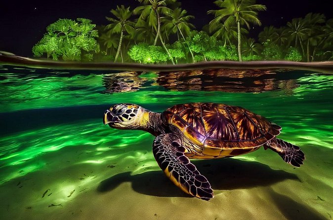 San Juan LED Night Snorkel - Price and Value: Is $70 Worth It?