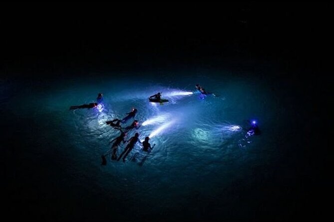 San Juan LED Night Snorkel - What to Expect Once You Get in the Water