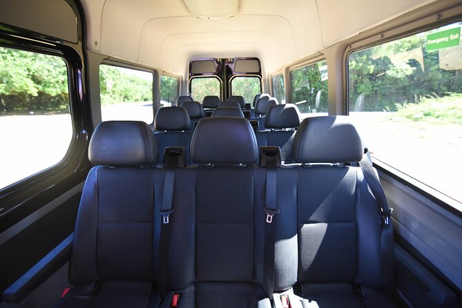 San Juan Luxury Private Round-Trip Transfer: SJU Airport - Cruise Pier - Hotel - Vehicles and Seating: Mercedes V-Class for 1 to 6, Sprinter for 7 to 14