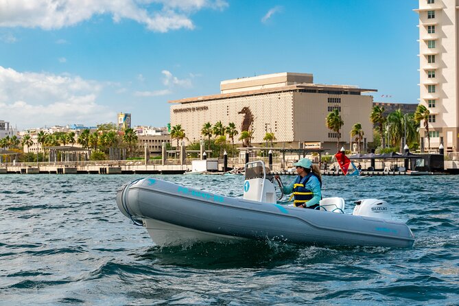 San Juan Mini Boat Tour - Price and Value: What $175 Per Group Really Buys You