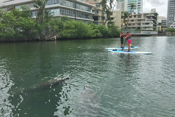 San Juan | Paddleboard | Kayak | Snorkeling | Guided Tours - Safety briefing and how the guide keeps you comfortable