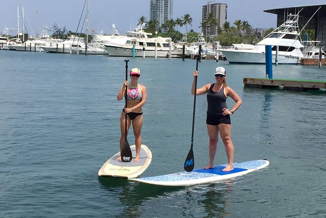 San Juan | Paddleboard | Kayak | Snorkeling | Guided Tours - Snorkeling in the estuary: what to expect and how to get the most
