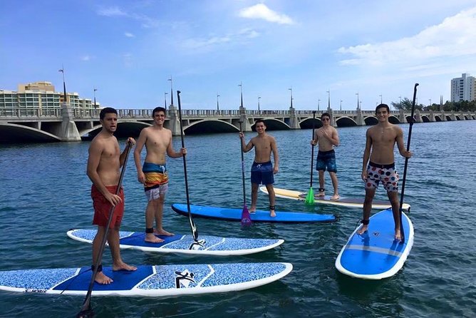 San Juan | Paddleboard | Kayak | Snorkeling | Guided Tours - SUP vs. kayak: picking the right craft for your comfort level