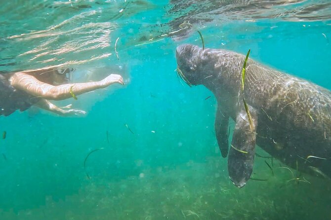 San Juan Snorkel with Turtles and Manatee's; Free Video and Rum! - Key things worth knowing before you go
