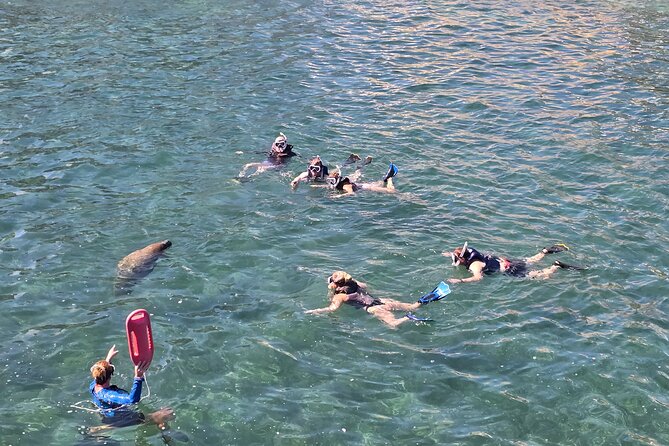 San Juan Snorkel with Turtles and Manatee's; Free Video and Rum! - Value check: is $82 fair for turtles, manatees, and the freebies?