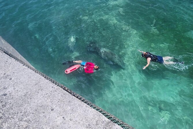 San Juan Snorkel with Turtles and Manatee's; Free Video and Rum! - Getting to Playita del Condado and the fast start