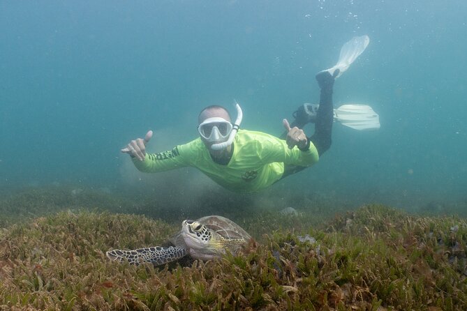 San Juan Snorkeling Tour with Fish and Turtles - Escambrón Marine Park: Why This San Juan Snorkeling Feels Easy