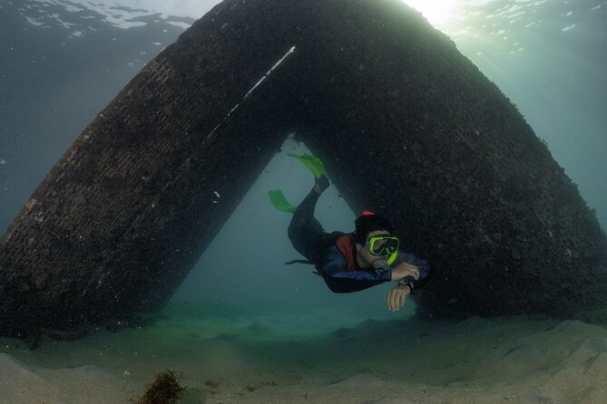 San Juan Snorkeling Tour with Fish and Turtles - Gear, facilities, and beach perks that cut the stress