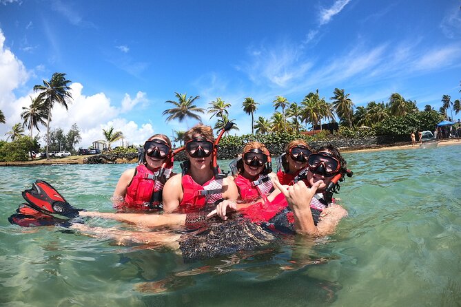 San Juan: Snorkeling with Turtles Adventure and Free Videos - Shore Start in San Juan: What 1 Hour 30 Minutes Is Really Like