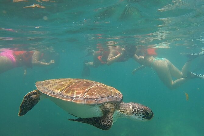 San Juan: Snorkeling with Turtles Adventure and Free Videos - Meeting Point Reality Check: Use Extra Time