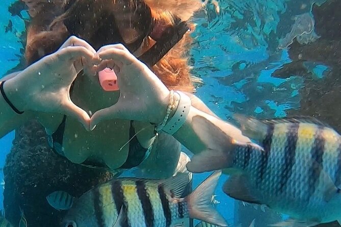 San Juan: Snorkeling with Turtles Adventure and Free Videos - What’s Included, What You Must Bring, and How to Pack Smart